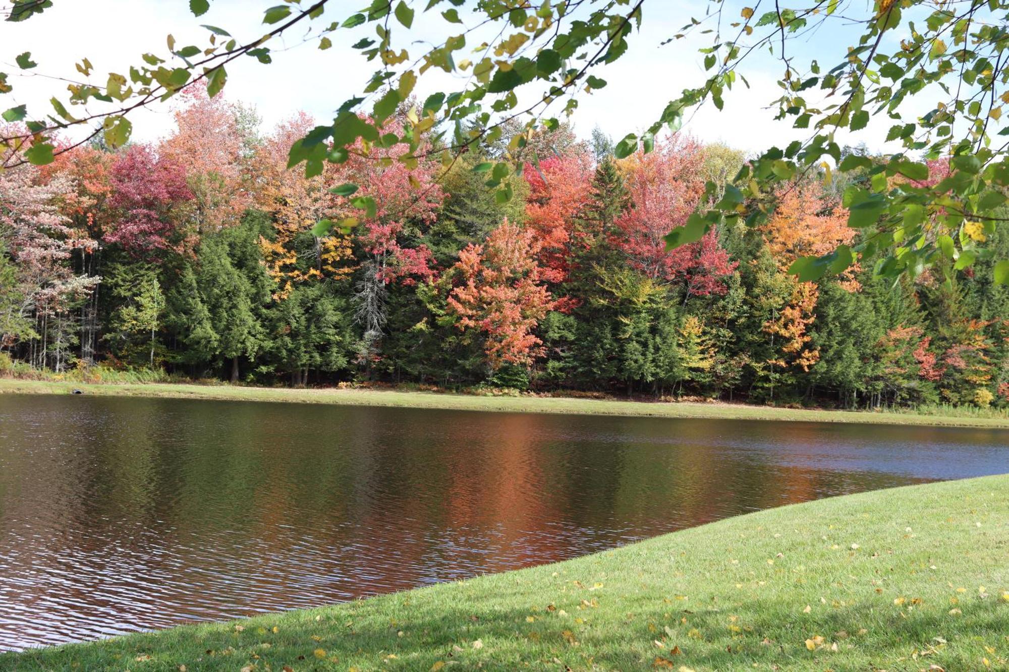 Deerfield Valley Inn - Mt Snow Dover المظهر الخارجي الصورة